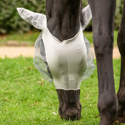 Grasendes Pferd mit gesenktem Kopf und der hellgrauen Waldhausen Fliegenmaske Skinny. Sichtbar ist der Bereich von Ganaschen und Kehle, der komplett ohne Klettverschluss oder Reißverschluss auskommt. Das elastische Material sorgt für eine stabile Passform am Pferdekopf. Verfügbar in den Größen Shetty, Pony, Vollblut, Warmblut und Warmblut Extra (Kaltblut) bei ePony Reitsport.