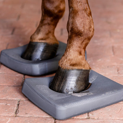 Anwendung der Waldhausen Health + Care Balance Pads: Ein Pferd steht mit beiden beschlagenen Vorderhufen auf den grauen, nachgiebigen Schaumstoffplatten auf festem Pflasterboden, wobei das kontrollierte Einsinken der Hufe für die Ausrichtung der Körperspannung und das Training der Tiefenmuskulatur sorgt.