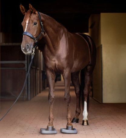 Ganzkörperansicht beim Training mit den Waldhausen Health + Care Balance Pads: Ein fuchsfarbenes, beschlagenes Pferd steht entspannt in der Stallgasse mit beiden Vorderhufen auf den grauen Schaumstoff-Pads auf ebenem Pflasterboden, um Gleichgewicht, Körperwahrnehmung und Tiefenmuskulatur im Alltag schonend zu trainieren.
