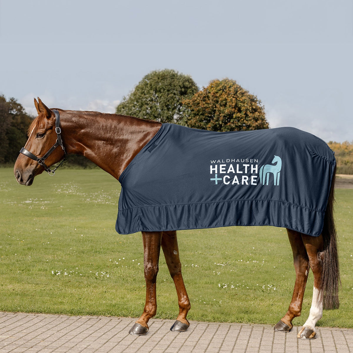 Braunes Pferd im Freien auf einer Sommerwiese mit der nachtblauen Waldhausen Health + Care Ice-Layer Kühldecke und weißem Logo-Aufdruck in der Seitenansicht. Die innovative Verdunstungsdecke schützt das Pferd an heißen Tagen vor Überhitzung und sorgt für eine schonende Kühlung von Rücken und Muskulatur nach anstrengendem Reiten oder Fahren.