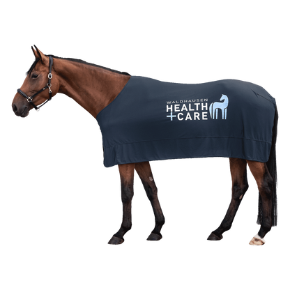 Braunes Pferd im Profil mit der dunkelblauen Waldhausen Health + Care Ice-Layer Kühldecke und weißem Logo-Print in der Seitenansicht. Die innovative Verdunstungsdecke sorgt für gleichmäßige Kühlung bei Sommerhitze und unterstützt die Regeneration sowie Pferdewellness nach anstrengendem Training beim Reiten.