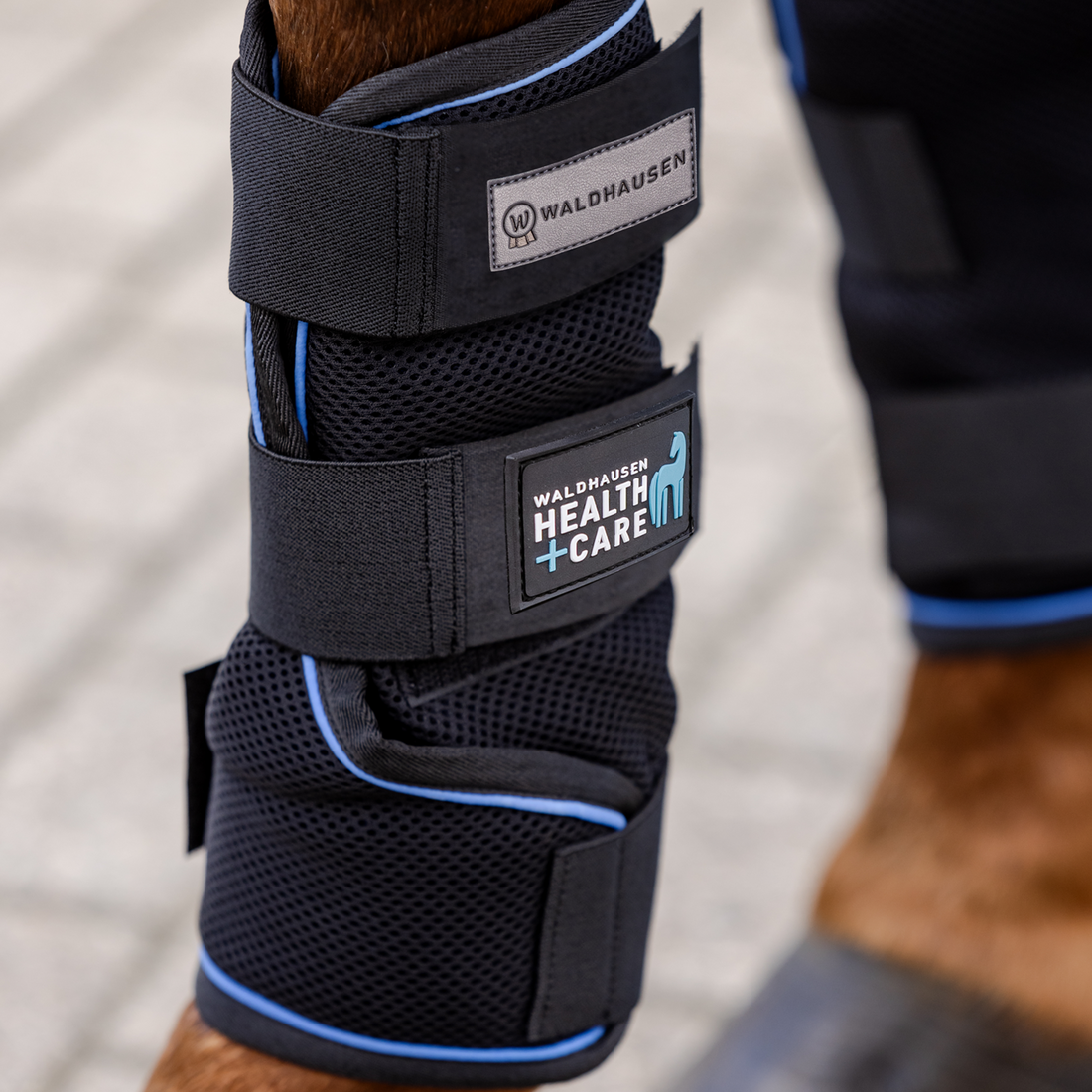 Nahaufnahme der Waldhausen Health + Care Ice-Layer Kühlgamasche am Pferdebein mit Fokus auf die drei stabilen Klettverschlüsse. Der obere Verschluss zeigt das Waldhausen Logo, der mittlere das Health + Care Branding für anspruchsvolle Pferdepflege und Wohlbefinden. Der untere Klettverschluss umschließt den Fesselkopf für rutschfesten Halt. Die ergonomische Form speichert die Feuchtigkeit und sichert einen langanhaltenden Cooling-Effekt bei Sommerhitze.