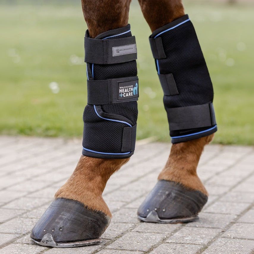 Zwei schwarze Waldhausen Health + Care Ice-Layer Kühlgamaschen im Set, angelegt an den Vorderbeinen eines Pferdes zur effektiven Kühlung ohne Gel und Eis. Gut sichtbar ist das innovative, atmungsaktive Meshmaterial über dem saugfähigen Innenfutter, das die Feuchtigkeit hält. Die drei breiten Klettverschlüsse fixieren die Gamasche passgenau am Röhrbein. Die Körperwärme des Pferdes sorgt für eine langsame Verdunstungskühlung nach dem Training.