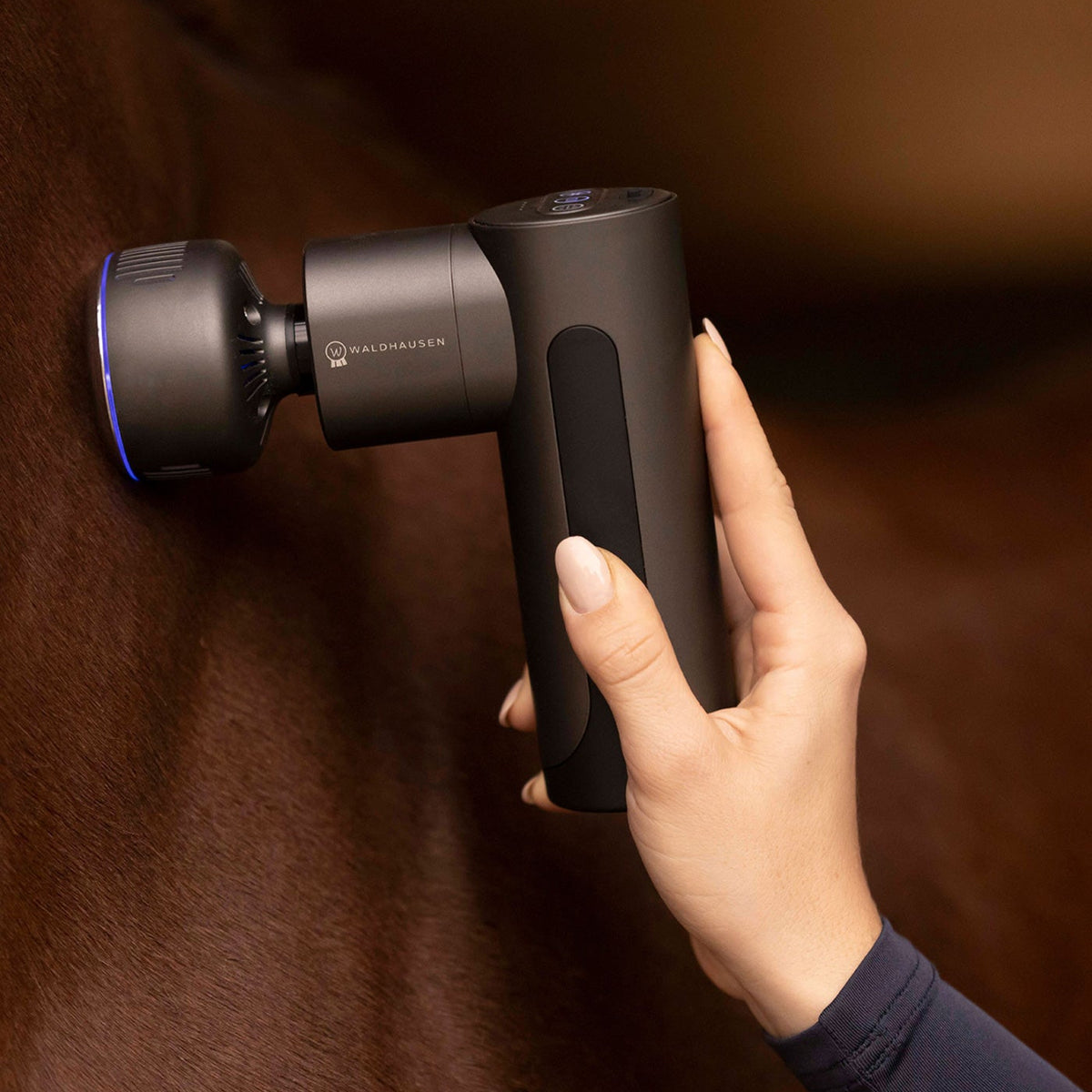 Praktische Anwendung des Waldhausen Health + Care Massagegeräts Pro Hot &amp; Cold am Pferd: Eine Reiterhand führt die handliche Massagepistole mit blau illuminiertem Hot-and-Cold-Aufsatz im aktiven Kühlmodus sanft über das Fell und die Muskulatur eines braunen Pferdes zur erfrischenden Pferdewellness nach dem Training.