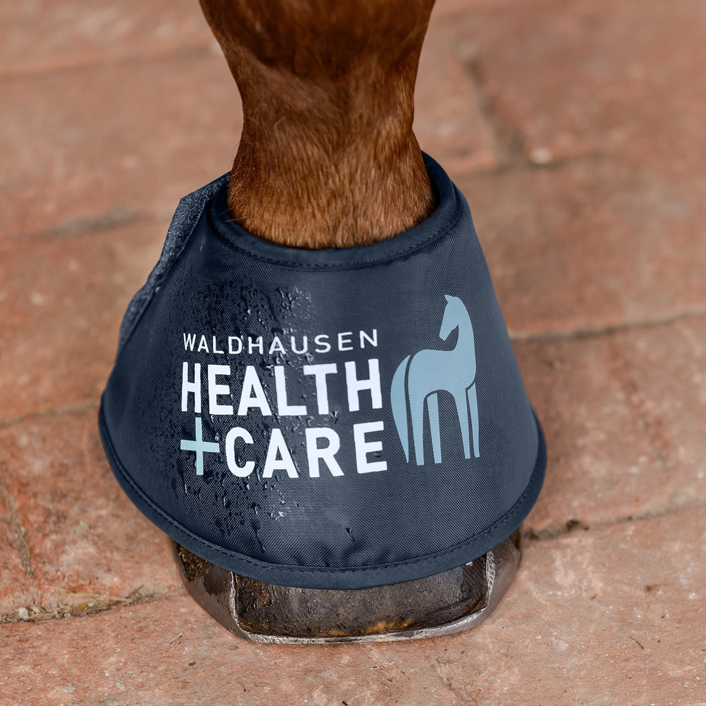 Die blauen Waldhausen Health + Care Water Boots in der Anwendung am Pferdehuf. Die nassen Hufglocken aus 420D Ripstop Nylon mit dreilagigem Porenfilz geben gespeichertes Wasser nach dem Eintauchen nach und nach an das Hufhorn ab – für innovative Hufpflege und Feuchtigkeitspflege bei Trockenheit im Sommer. Das Walhausen Health + Care  Logo ist auf der Vorderseite des Hufbefeuchters zu sehen.