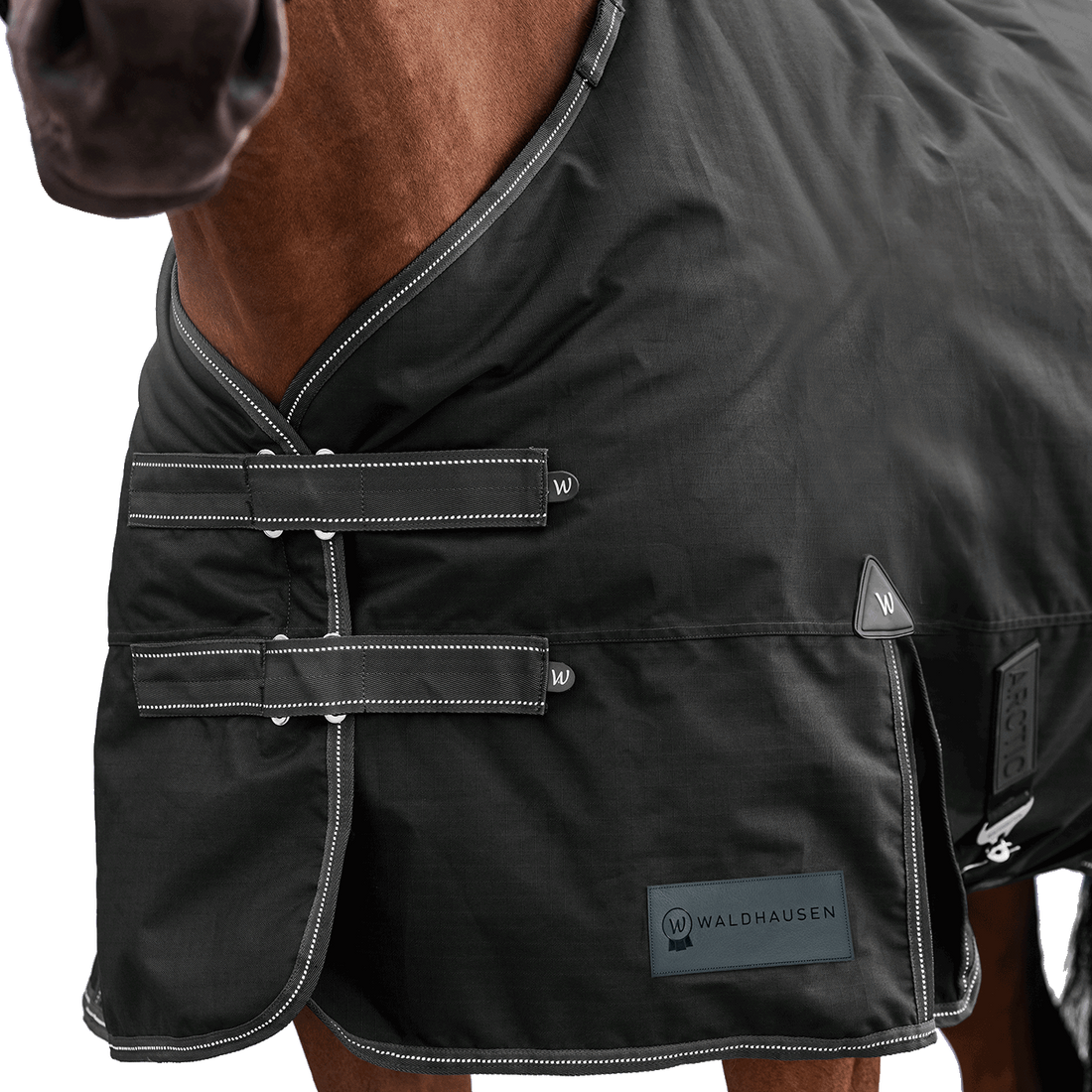 Detailaufnahme des doppelten Brustverschlusses der Waldhausen Outdoordecke Arctic 50 g in Schwarz. Die robusten T-Verschlüsse sind mit Klettabdeckungen geschützt, und können ein Hängenbleiben im Offenstall oder Paddock reduzieren. Der doppelte Brustverschluss ermöglicht einfaches Ein- und Ausdecken von Pferd oder Pony. Reflektierende Kontrastnähte in Weiß auf den Klettlaschen und dem Einfassband erhöhen die Sichtbarkeit bei Dunkelheit.
