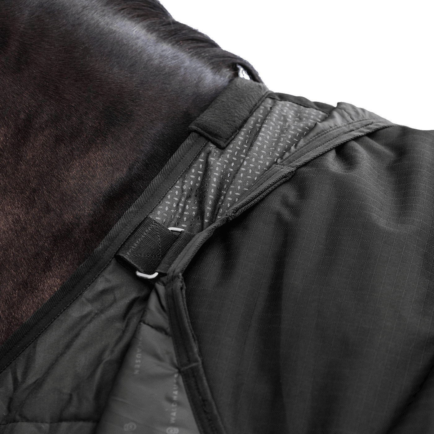 Detailaufnahme des Waldhausen-Clip-In-Deckensystems der Outdoordecke Arctic 100 g in Schwarz im Schulterbereich von Pferd oder Pony. Integrierte Ösen und Ringe ermöglichen das flexible Befestigen separater Unterdecken, um die Wärmeleistung individuell an wechselnde Temperaturen im Herbst und Winter anzupassen. Die funktionale 600D-Ripstop-Pferdedecke bietet als modulare äußere Deckenkomponente maximale Flexibilität im Stallalltag.
