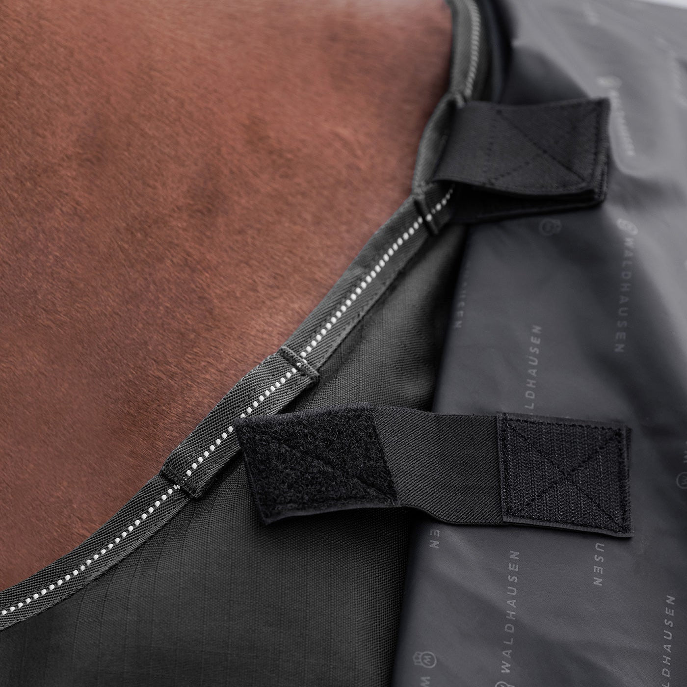 Detailansicht der Klettverschluss-Befestigung für ein separates Halsteil an der Waldhausen-Outdoordecke Arctic 100 g in Schwarz aus 600D Ripstop. Die integrierten Klettverbindungen ermöglichen das einfache Anbringen eines passenden Arctic-Halsteils zum Schutz von Hals und Mähne vor Regen, Wind und Nässe. Das modulare System bietet flexibles Pferdedeckenmanagement für die abgestimmten Temperaturbedingungen von Pferd und Pony im Herbst, Frühjahr und Winter.