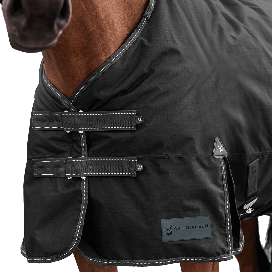 Detailaufnahme des doppelten Brustverschlusses der Waldhausen Outdoordecke Arctic 200 g in Schwarz. Die robusten T-Verschlüsse sind mit Klettabdeckungen geschützt, und können ein Hängenbleiben im Offenstall oder Paddock reduzieren. Der doppelte Brustverschluss ermöglicht einfaches Ein- und Ausdecken von Pferd oder Pony. Reflektierende Kontrastnähte in Weiß auf den Klettlaschen und dem Einfassband erhöhen die Sichtbarkeit bei Dunkelheit.