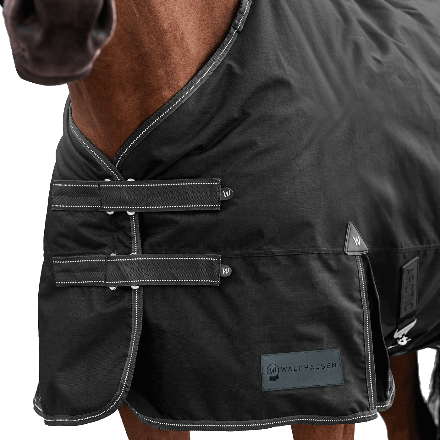 Detailaufnahme des doppelten Brustverschlusses der Waldhausen Outdoordecke Arctic 200 g in Schwarz. Die robusten T-Verschlüsse sind mit Klettabdeckungen geschützt, und können ein Hängenbleiben im Offenstall oder Paddock reduzieren. Der doppelte Brustverschluss ermöglicht einfaches Ein- und Ausdecken von Pferd oder Pony. Reflektierende Kontrastnähte in Weiß auf den Klettlaschen und dem Einfassband erhöhen die Sichtbarkeit bei Dunkelheit.
