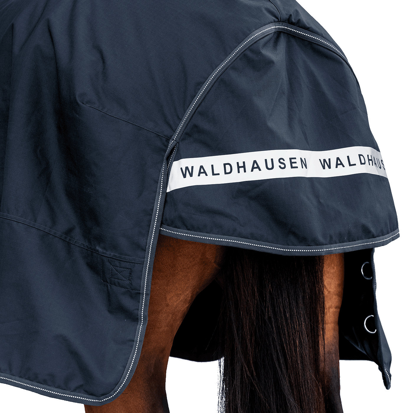 Rückansicht der dunkelblauen Waldhausen-Outdoordecke Arctic 300 g in Nachtblau mit Fokus auf den langen Schweiflatz. Der großzügige Schweiflatz schützt Schweif und Schweifrübe des Pferdes zuverlässig vor Wind, Regen und Kälte. Die breite, reflektierende Waldhausen-Applikation sorgt für optimale Sichtbarkeit von hinten im Dunkeln, auf der Weide, auf Wegen oder im Straßenverkehr. Die perfekte 600D-Ripstop-Regendecke für bessere Sichtbarkeit im Dunklen. D-Ringe für Beinschnüre sind zu sehen.