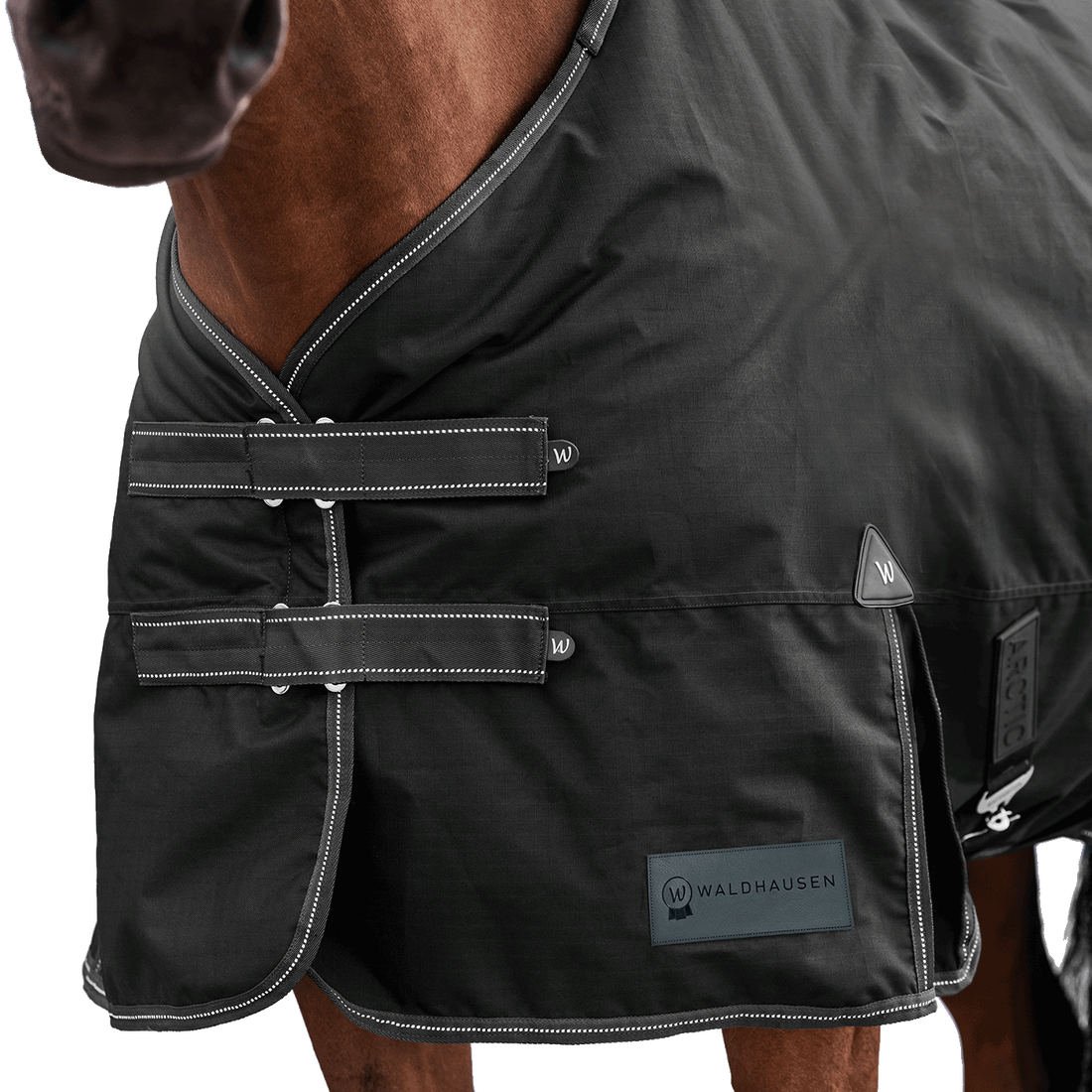 Detailaufnahme des doppelten Brustverschlusses der Waldhausen Outdoordecke Arctic 300 g in Schwarz. Die robusten T-Verschlüsse sind mit Klettabdeckungen geschützt, und können ein Hängenbleiben im Offenstall oder Paddock reduzieren. Der doppelte Brustverschluss ermöglicht einfaches Ein- und Ausdecken von Pferd oder Pony. Reflektierende Kontrastnähte in Weiß auf den Klettlaschen und dem Einfassband erhöhen die Sichtbarkeit bei Dunkelheit.