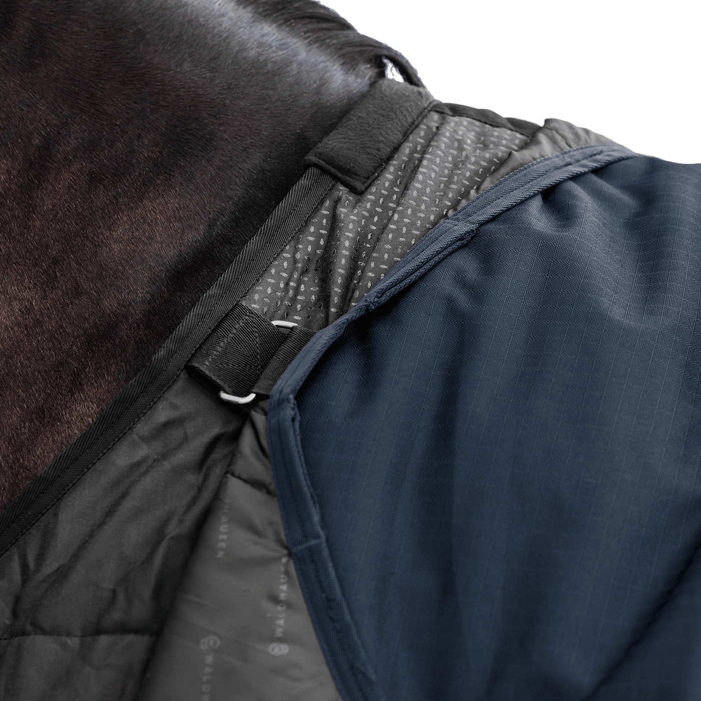 Detailaufnahme des Waldhausen-Clip-In-Deckensystems der Outdoordecke Arctic Light ohne Füllung in Nachtblau im Schulterbereich von Pferd oder Pony. Integrierte Ösen und Ringe ermöglichen das flexible Befestigen separater Unterdecken, um die Wärmeleistung individuell an wechselnde Temperaturen im Herbst und Winter anzupassen. Die funktionale 600D-Ripstop-Pferdedecke bietet als modulare äußere Deckenkomponente maximale Flexibilität im Stallalltag.