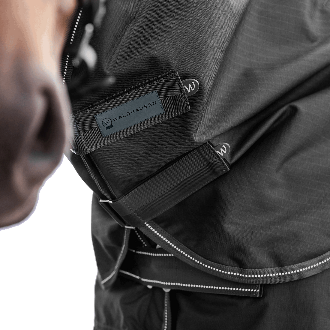 Detailaufnahme des Waldhausen Outdoorhalsteils in Schwarz am Pferdehals. Der Fokus liegt auf den zwei verstellbaren Klettverschlüssen zum einfachen Öffnen, Schließen und präzisen Anpassen der Passform für Pony und Pferd.