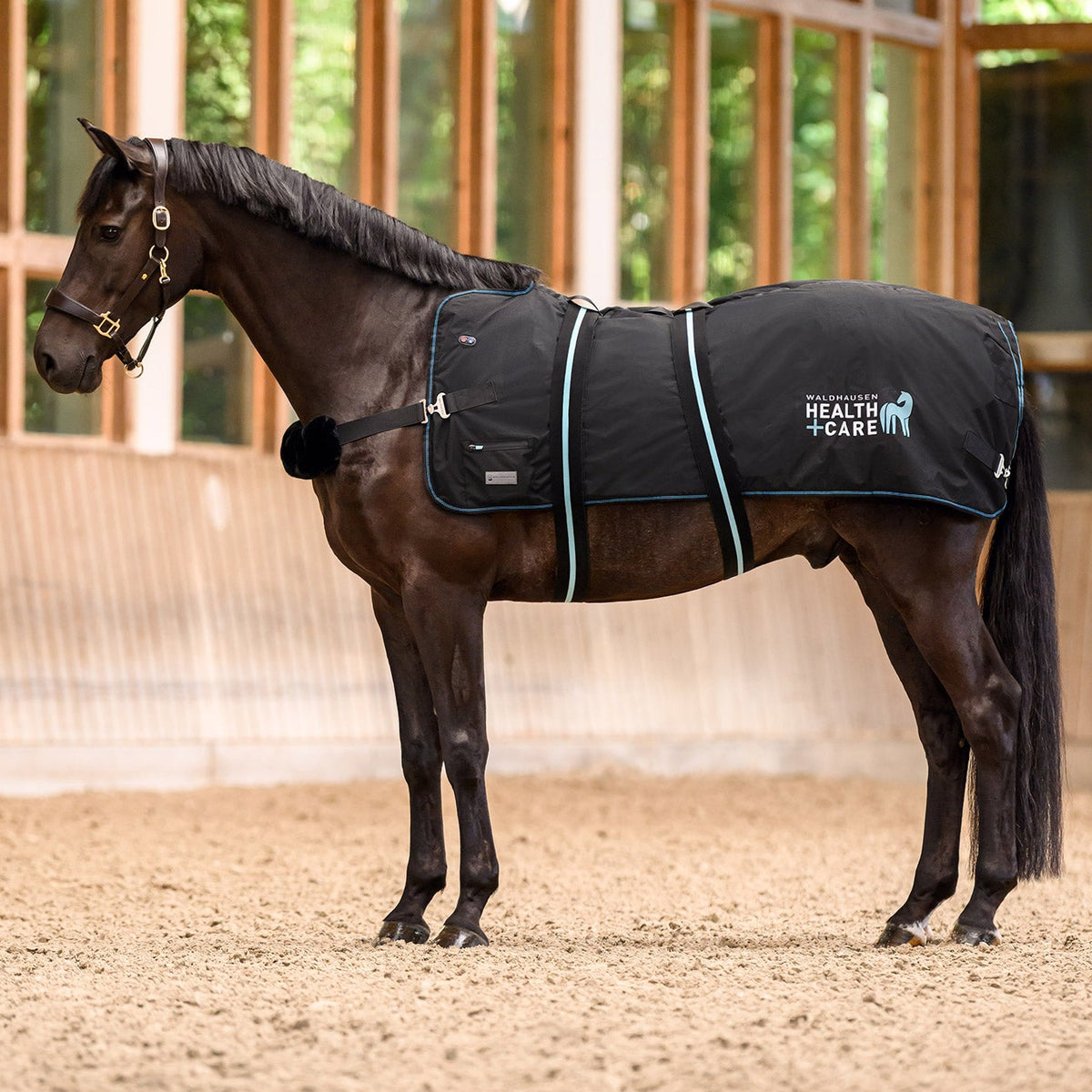 Dunkelbraunes Pferd mit der schwarzen Waldhausen Health + Care TecSupreme Heiz- und Massagedecke auf dem Sandboden einer Reithalle. Die Aufnahme zeigt die Decke im praktischen Einsatz beim Warm-up vor dem Training mit sicherem Sitz über Rückenlinie, Widerrist und Kruppe.