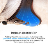 Infografik und Tragefoto am Pferdebauch zur Impact-Protection des braunen Winderen Springgurts mit kleinem Bauchlatz. Die Visualisierung demonstriert den Stoßschutz und Schlagschutz vor Hufeisenschlägen der Vorderbeine sowie Hindernisberührungen beim Sprung.