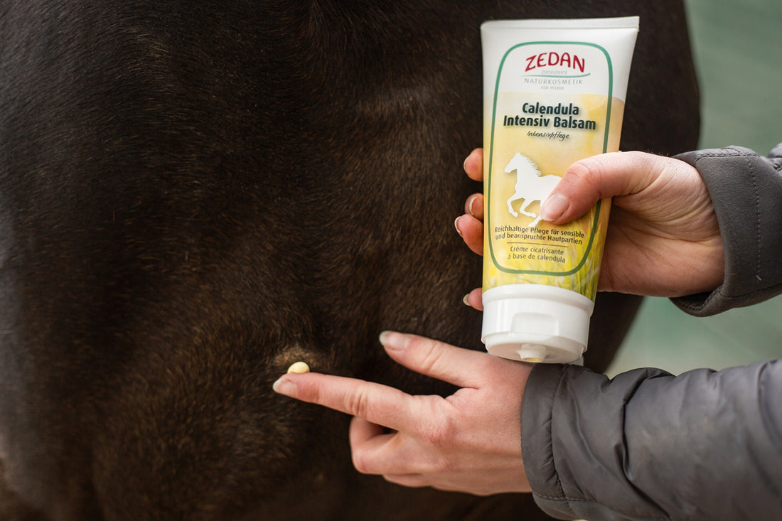 ZEDAN Calendula Intensiv Balsam spendet langanhaltend Feuchtigkeit an empfindlichen Hautpartien