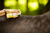 ZEDAN Natürliche Hautlotion Intensivpflege bei Abschürfungen, beanspruchter und gereizter Haut - ePony Reitsport