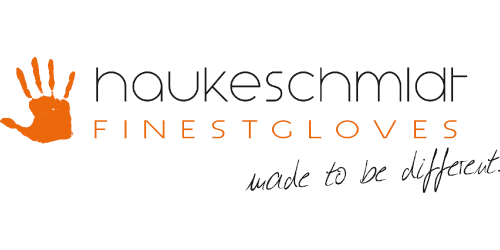 logo-haukeschmidt-2-500-250